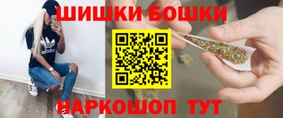 индика Аргун